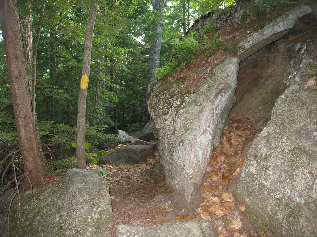 Elwell Trail NH 2010 145.jpg - The Elwell Trail North of Bristol NH, runs along Newfound Lake. The trail goes to Little and Big Sugarloaf mountains. Supposedly it also connects to Mt Cardigan. May 2010.
